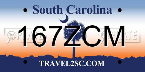 167ZCM South Carolina License Plate