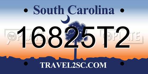 16825T2 South Carolina License Plate