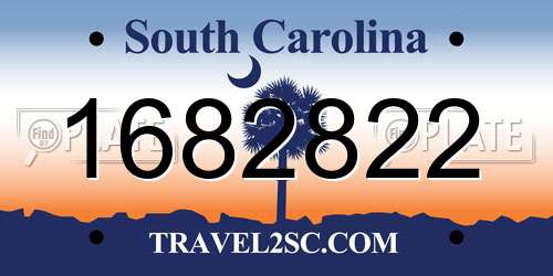 1682822 South Carolina License Plate