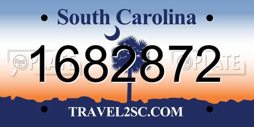 1682872 South Carolina License Plate