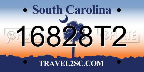 16828T2 South Carolina License Plate