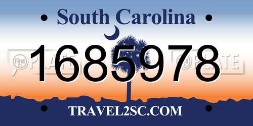 1685978 South Carolina License Plate