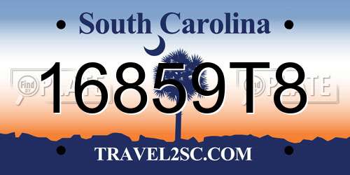 16859T8 South Carolina License Plate