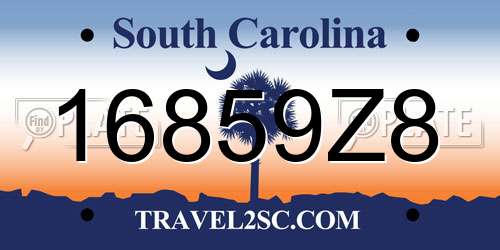 16859Z8 South Carolina License Plate