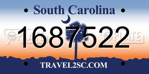 1687522 South Carolina License Plate