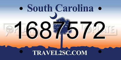 1687572 South Carolina License Plate
