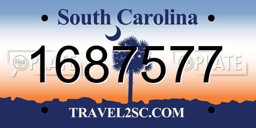 1687577 South Carolina License Plate
