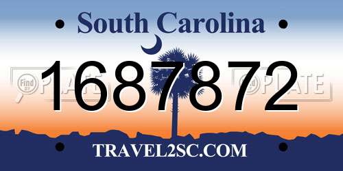 1687872 South Carolina License Plate