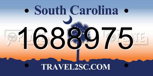 1688975 South Carolina License Plate