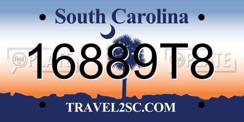 16889T8 South Carolina License Plate