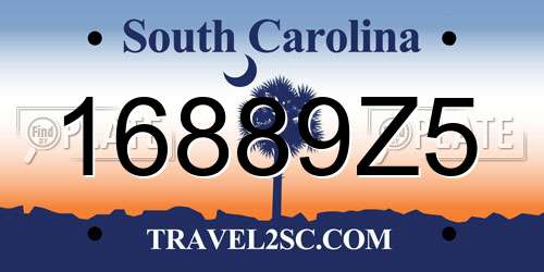 16889Z5 South Carolina License Plate