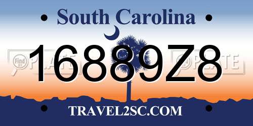 16889Z8 South Carolina License Plate