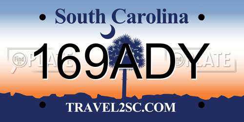 169ADY South Carolina License Plate