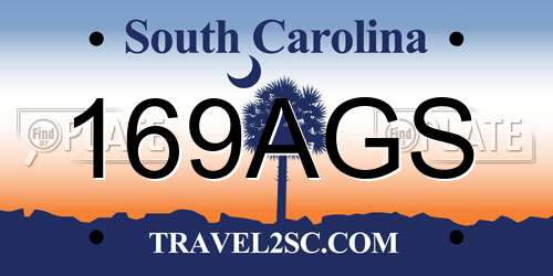 169AGS South Carolina License Plate