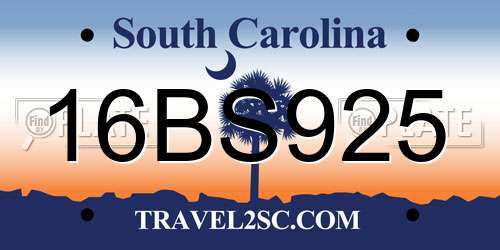 16BS925 South Carolina License Plate
