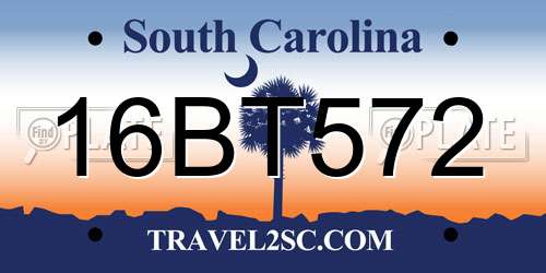 16BT572 South Carolina License Plate