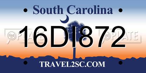 16DI872 South Carolina License Plate