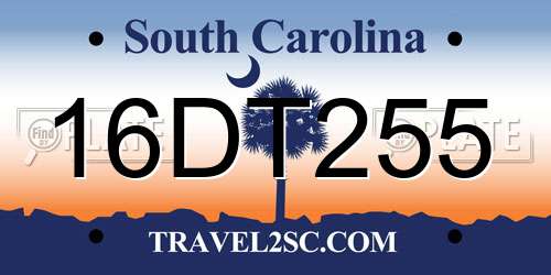 16DT255 South Carolina License Plate
