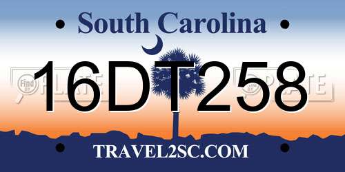 16DT258 South Carolina License Plate
