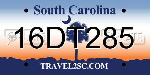16DT285 South Carolina License Plate