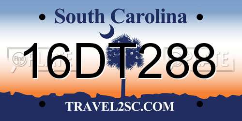 16DT288 South Carolina License Plate