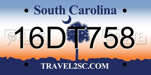 16DT758 South Carolina License Plate