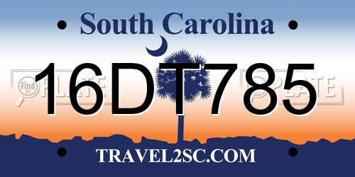 16DT785 South Carolina License Plate