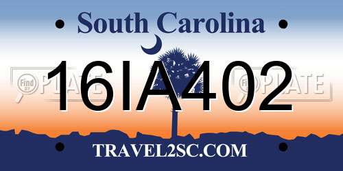 16IA402 South Carolina License Plate