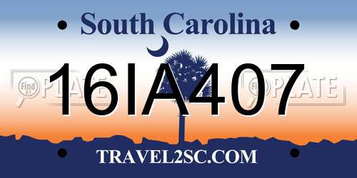 16IA407 South Carolina License Plate