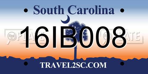 16IB008 South Carolina License Plate