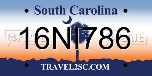 16NI786 South Carolina License Plate