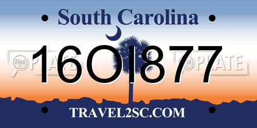 16OI877 South Carolina License Plate