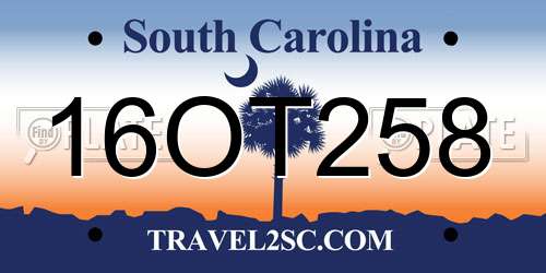 16OT258 South Carolina License Plate