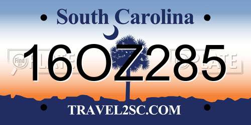 16OZ285 South Carolina License Plate