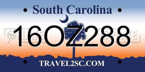 16OZ288 South Carolina License Plate