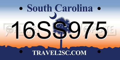 16SS975 South Carolina License Plate