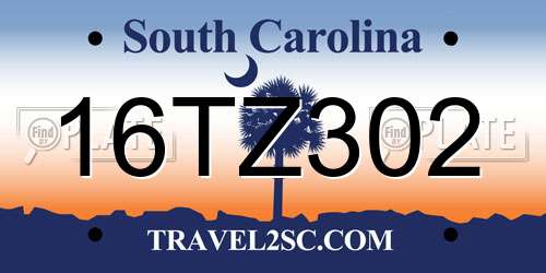 16TZ302 South Carolina License Plate