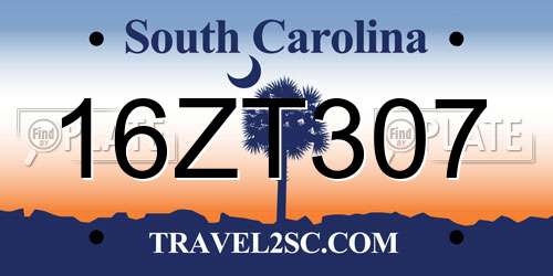 16ZT307 South Carolina License Plate