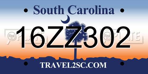 16ZZ302 South Carolina License Plate