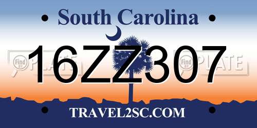 16ZZ307 South Carolina License Plate