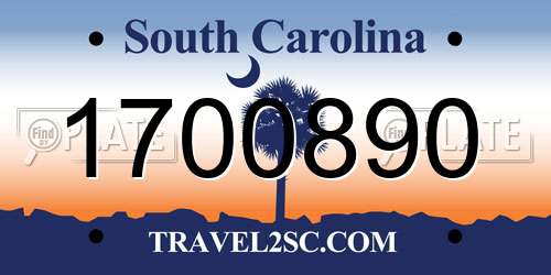 1700890 South Carolina License Plate