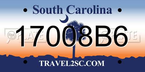17008B6 South Carolina License Plate