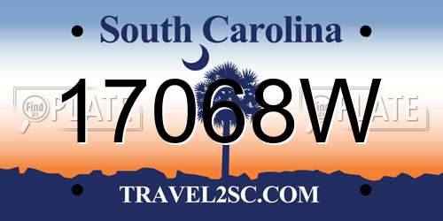 17068W South Carolina License Plate