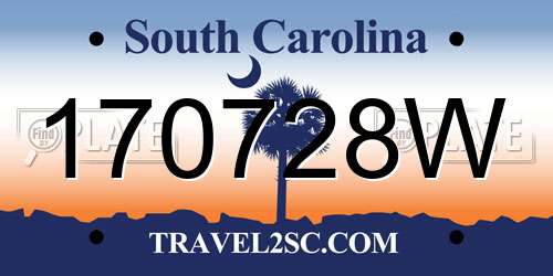 170728W South Carolina License Plate