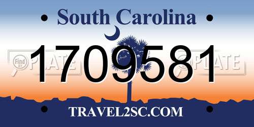 1709581 South Carolina License Plate
