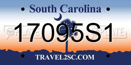 17095S1 South Carolina License Plate