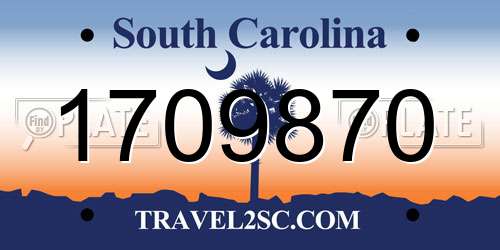 1709870 South Carolina License Plate