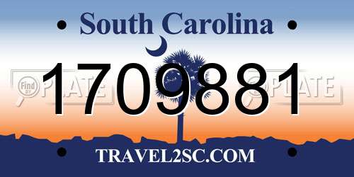 1709881 South Carolina License Plate