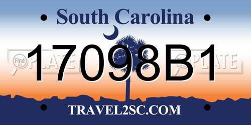 17098B1 South Carolina License Plate