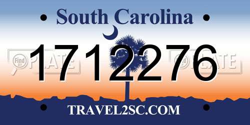 1712276 South Carolina License Plate